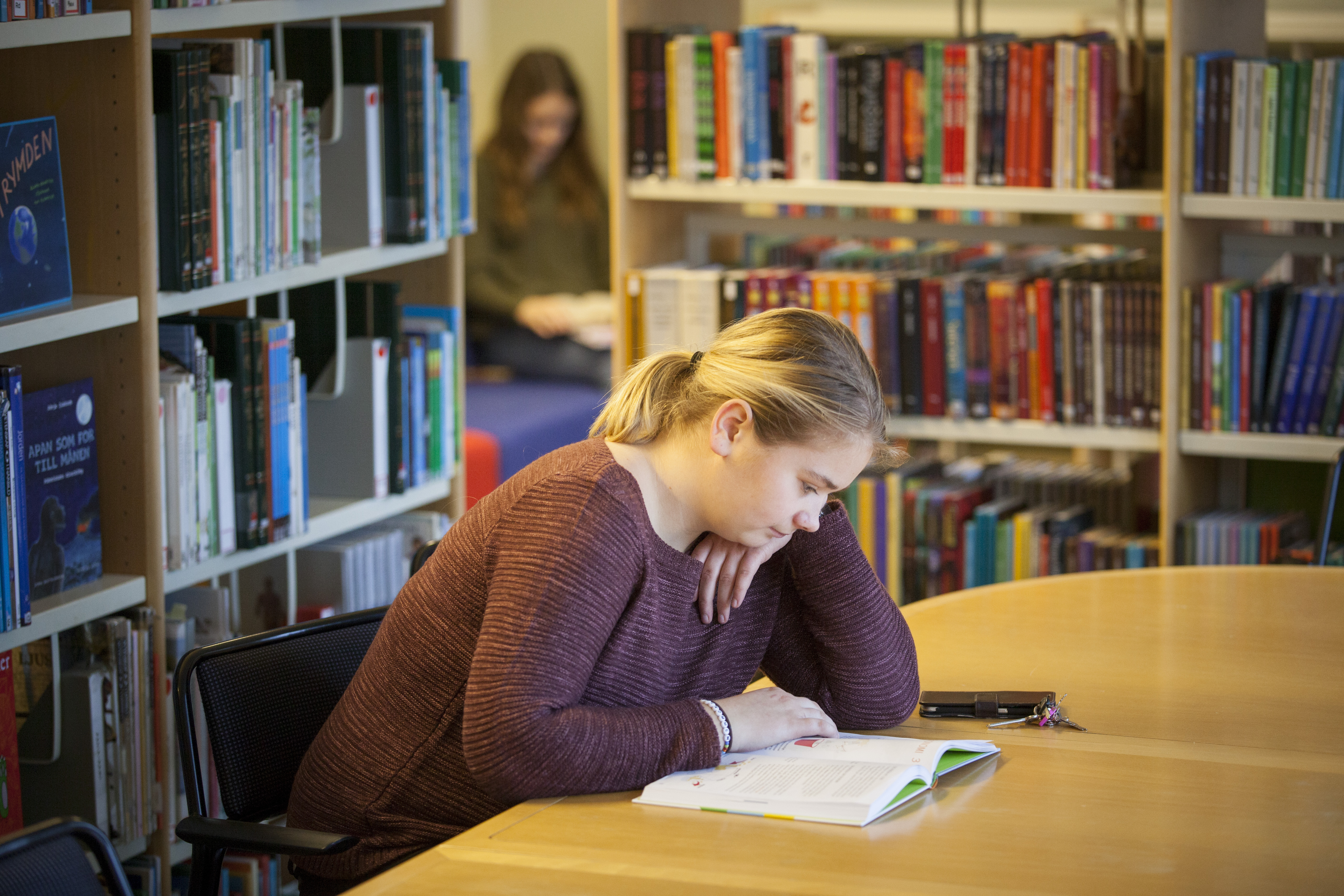 Nationella skolbiblioteksgruppen  Vår vision är ett Sverige där 